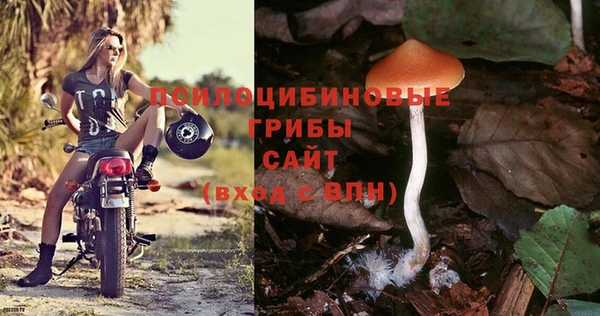 бутик Няндома