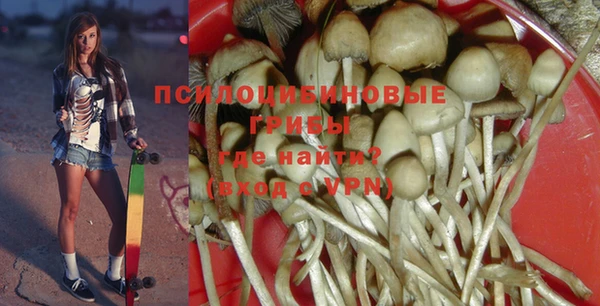 прущий лед Осинники