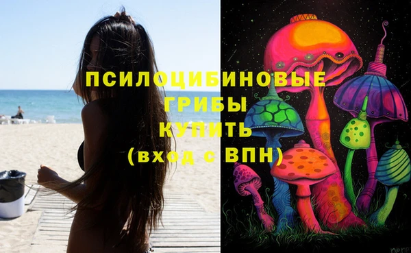 гашишное масло Новодвинск
